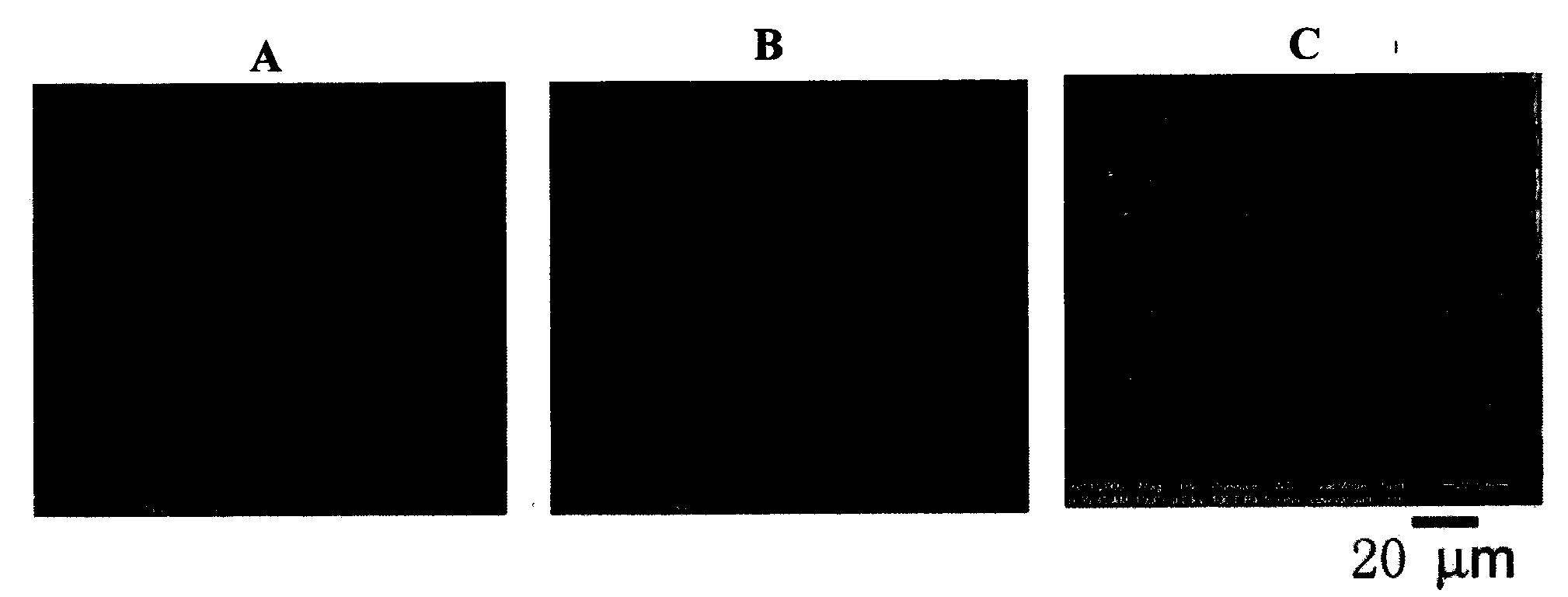 Device for controlling the interaction of different kinds of cells, its preparation method and use