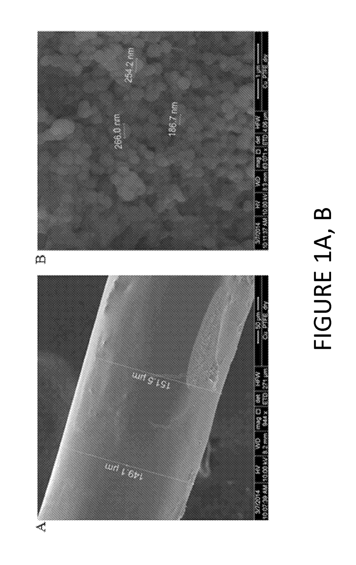 Thread Shaped Contact Electrification Fiber