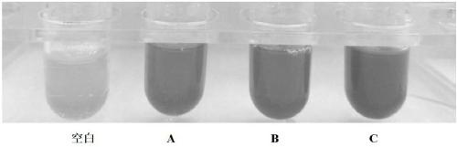 Method for processing oil crops by using rhodotorula