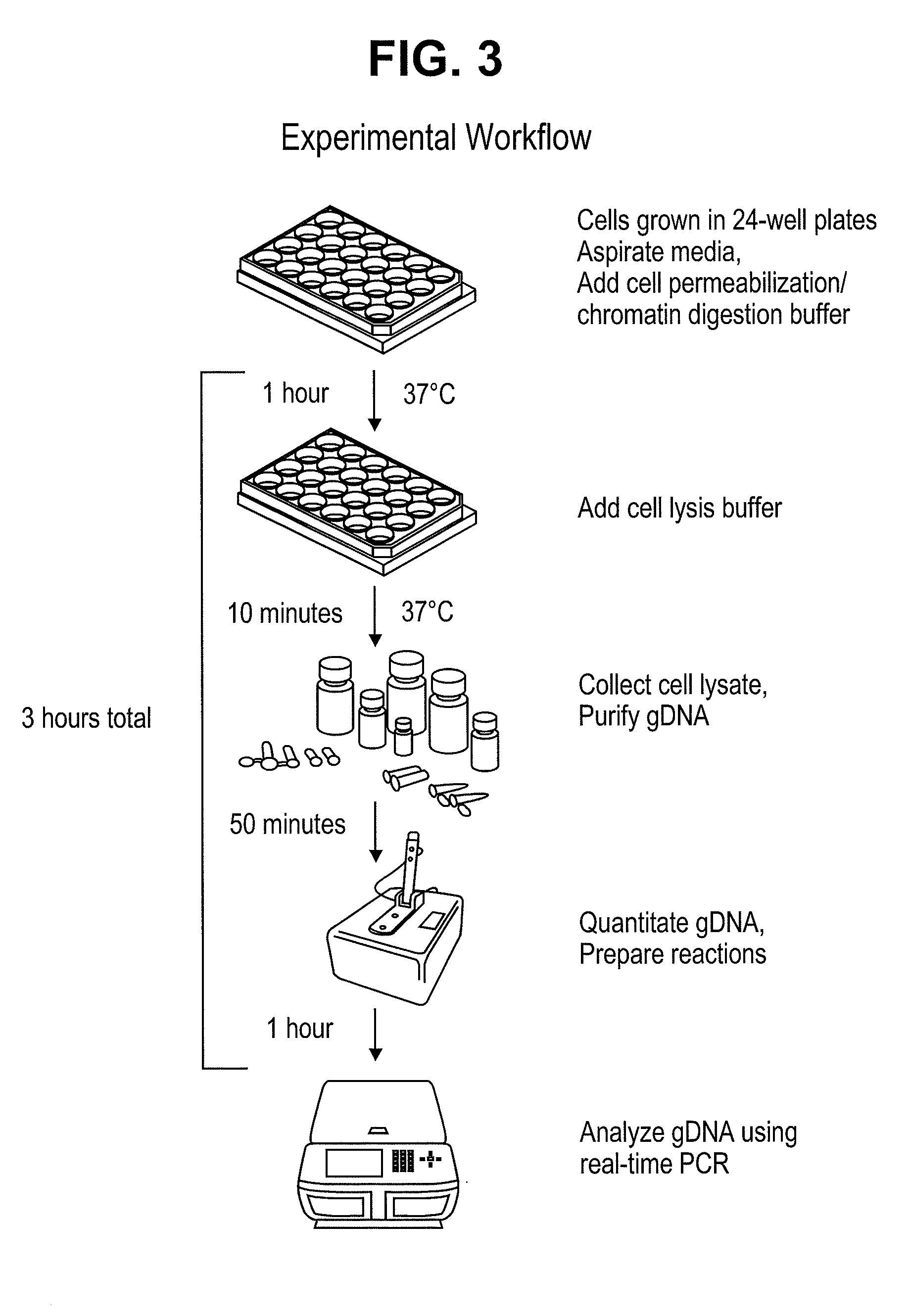 Chromatin structure detection