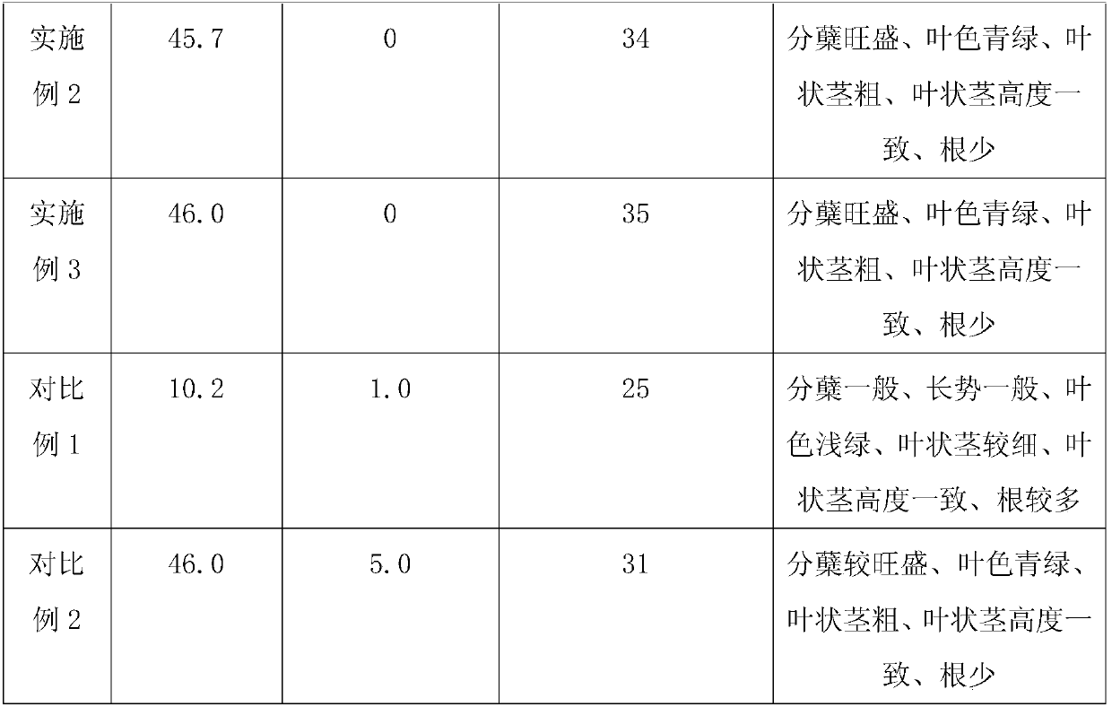 Seedling raising method of Chinese water-chestnuts