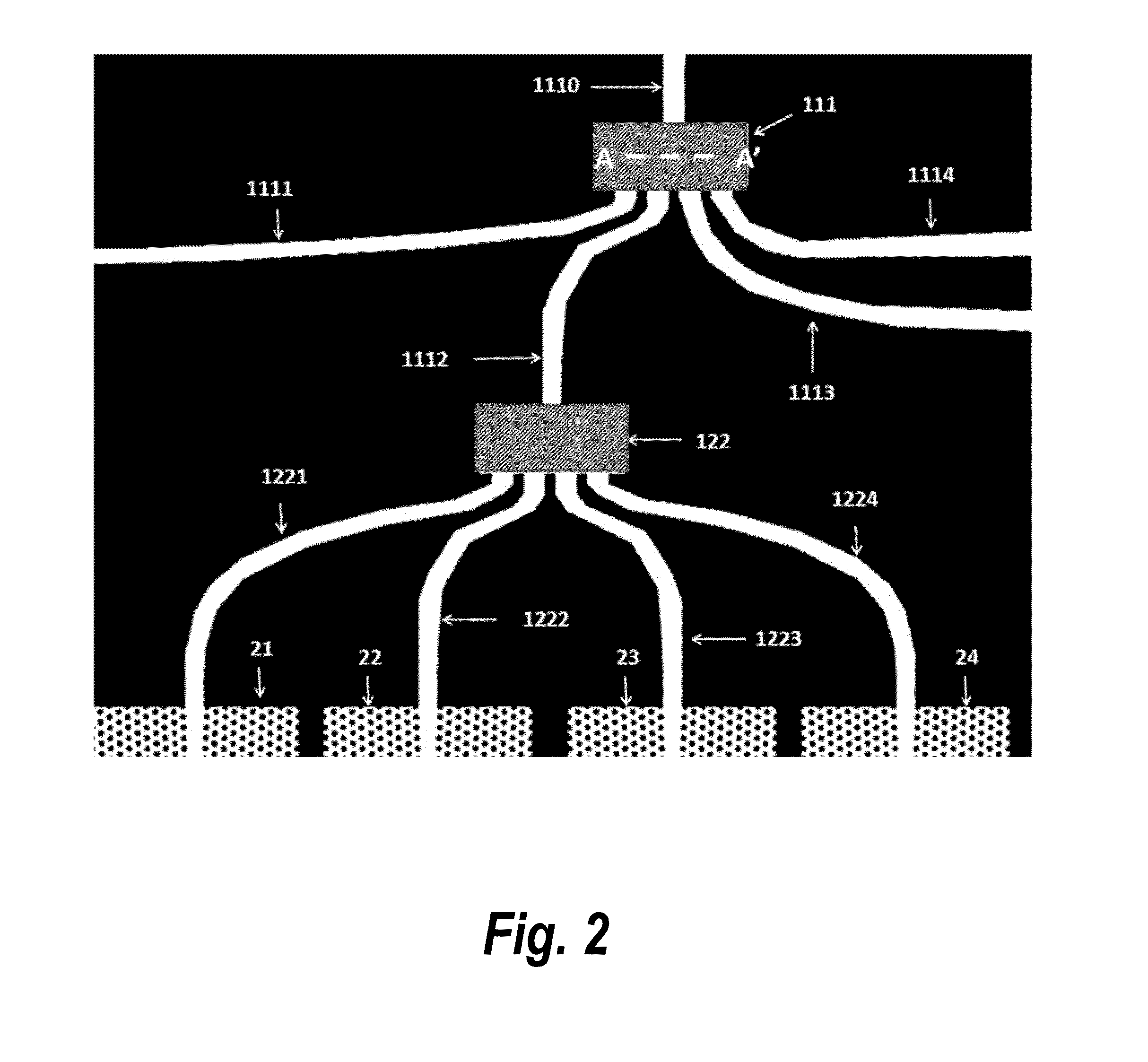 Packaged chip for multiplexing photonic crystal waveguide and photonic crystal slot waveguide devices for chip-integrated label-free detection and absorption spectroscopy with high throughput, sensitivity, and specificity