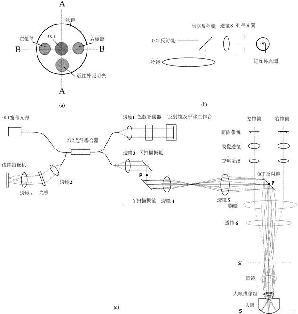 Fundus OCT imaging method utilizing three-dimensional imaging of binocular stereo vision and system thereof