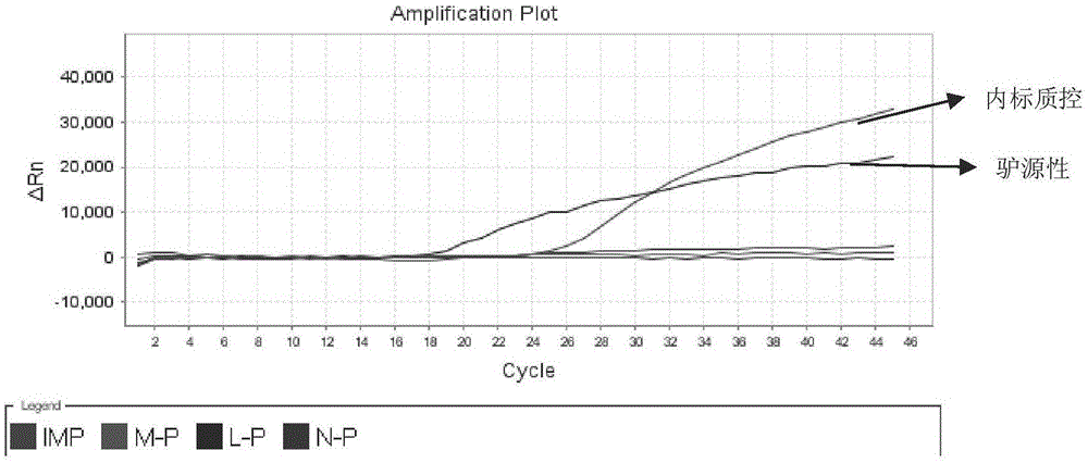 Primers, probe composition, kit and multiplex fluorescence PCR detection method for detecting ass-derived component, horse-derived component and bovine-derived component in cosmetics