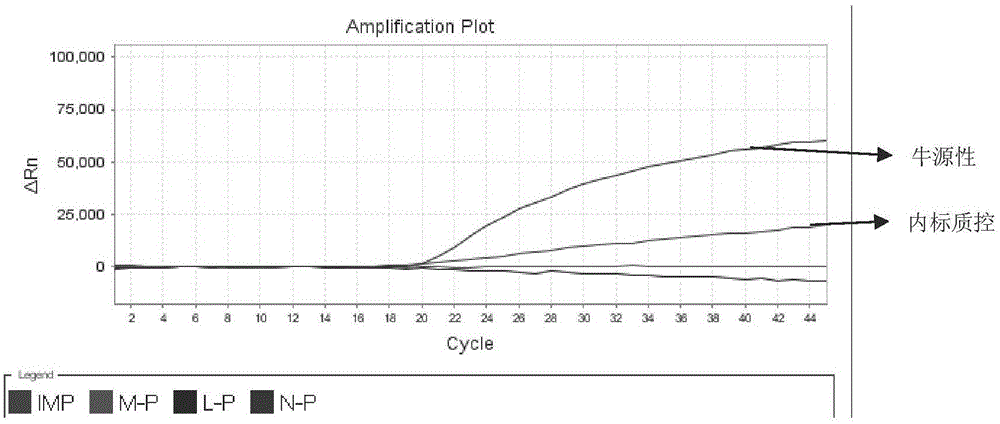 Primers, probe composition, kit and multiplex fluorescence PCR detection method for detecting ass-derived component, horse-derived component and bovine-derived component in cosmetics