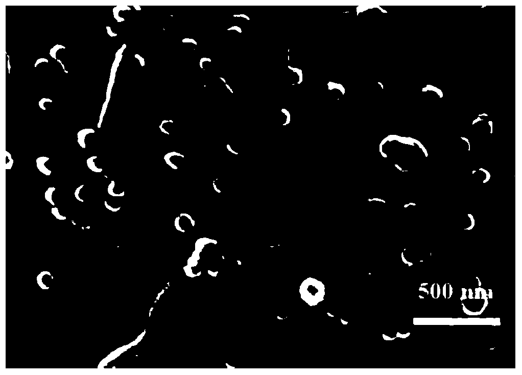 an attached sns  <sub>2</sub> Fabrication methods and applications of textiles