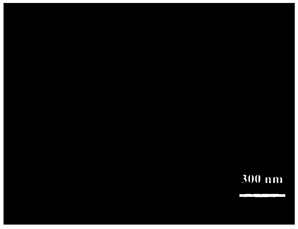 an attached sns  <sub>2</sub> Fabrication methods and applications of textiles