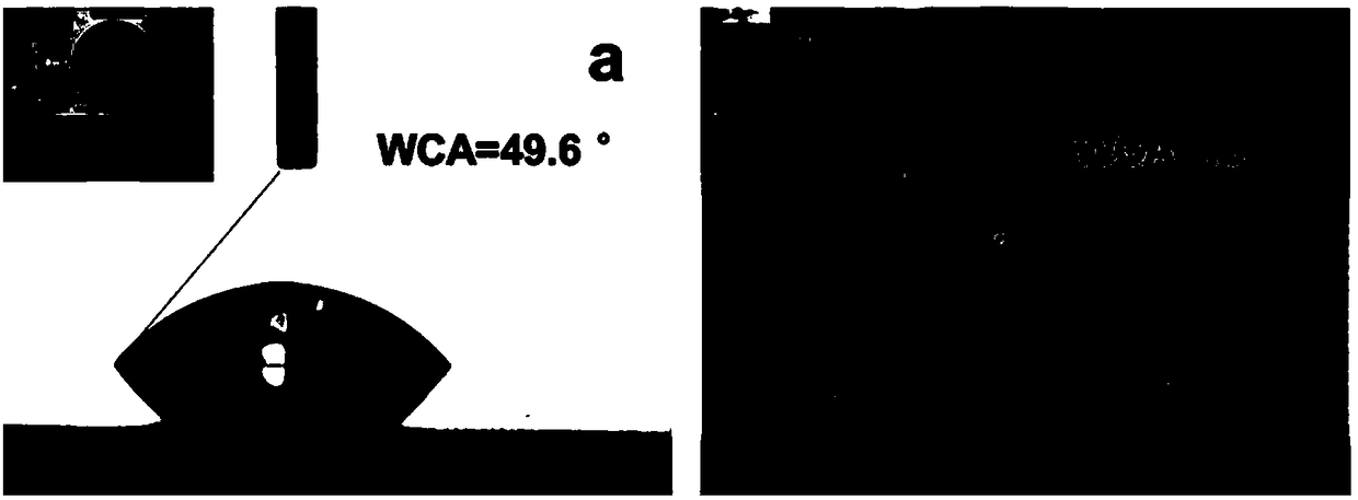 Core-double shell hydrophobic magnetic microsphere and preparation method thereof