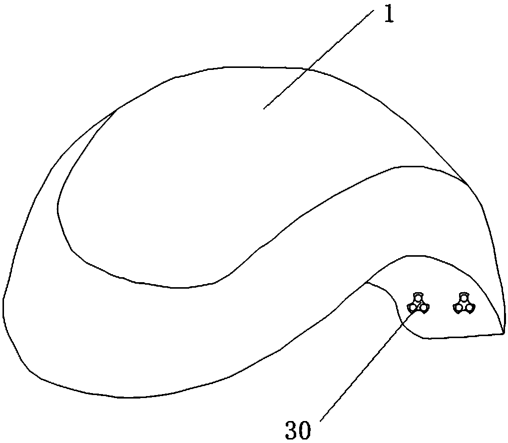 Head nursing device and system