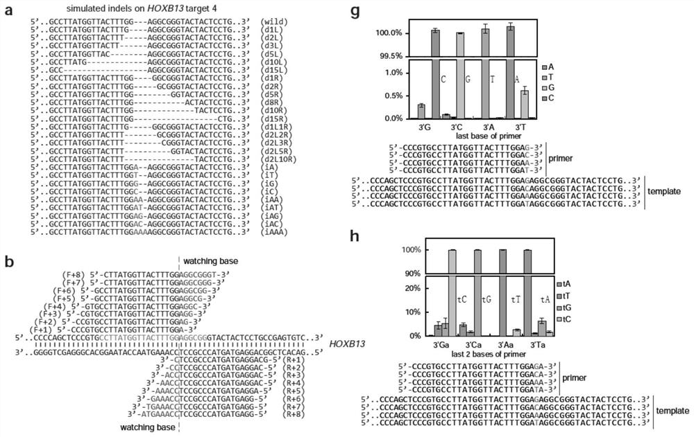 A genome editing detection method, kit and application