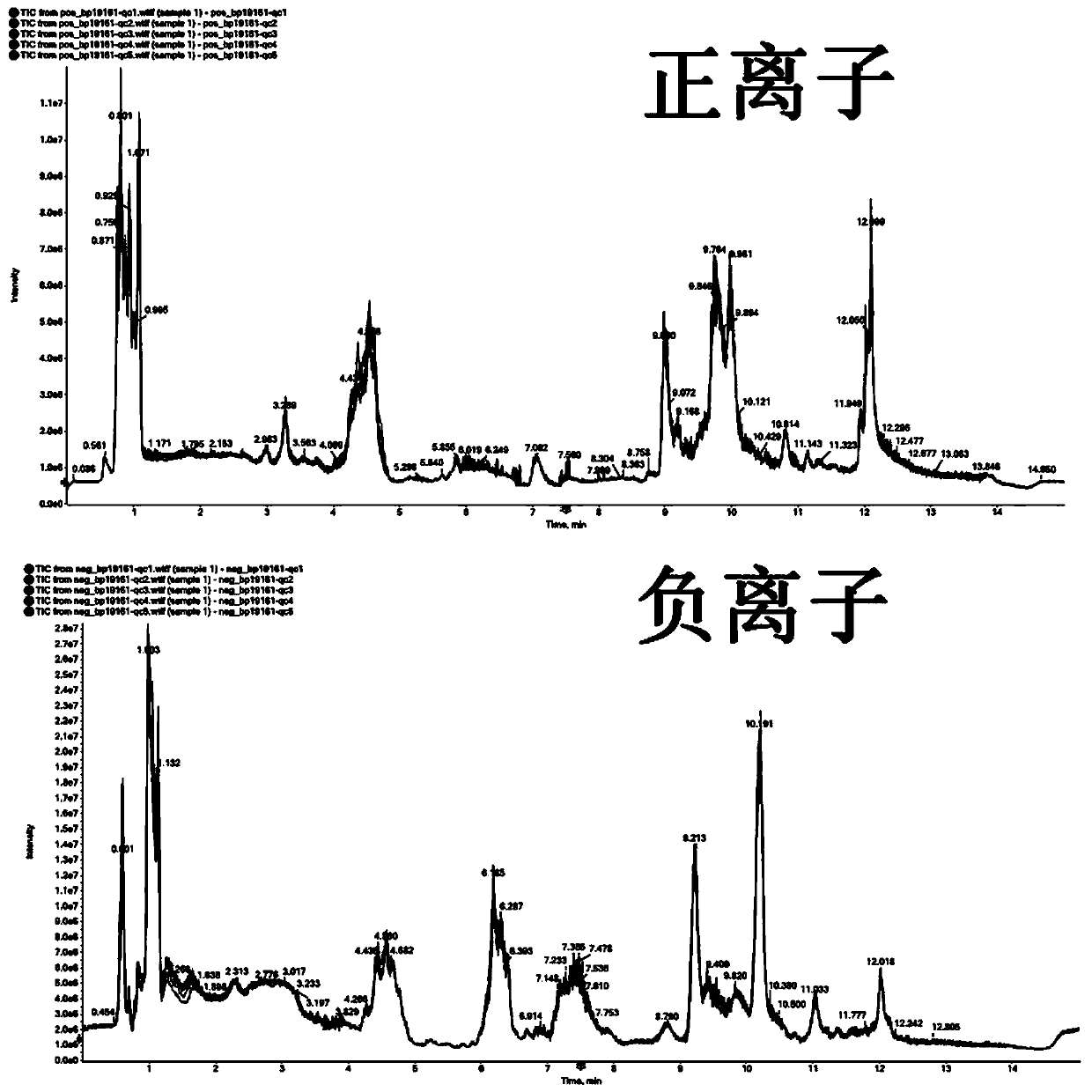 Metabonomics-based research method for toxicity effect of jujube flower nectar on honeybee