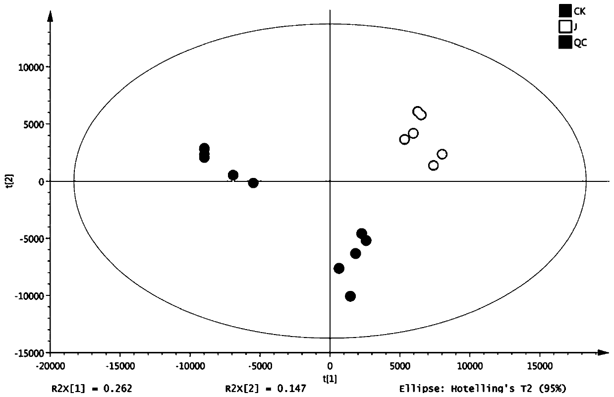 Metabonomics-based research method for toxicity effect of jujube flower nectar on honeybee