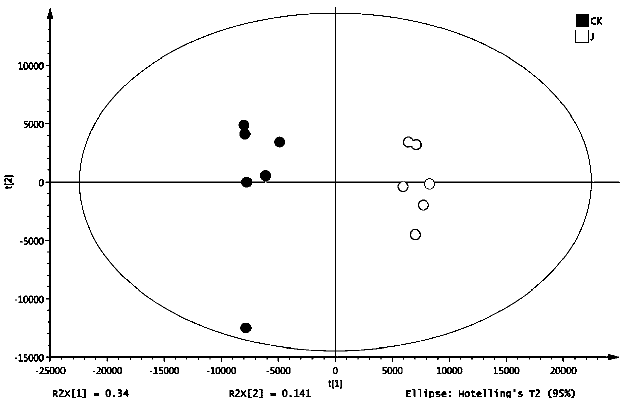 Metabonomics-based research method for toxicity effect of jujube flower nectar on honeybee