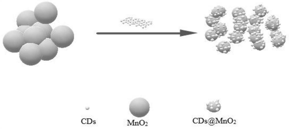 A kind of n-cds@δ-mno  <sub>2</sub> Preparation method and application of nanocomposite materials