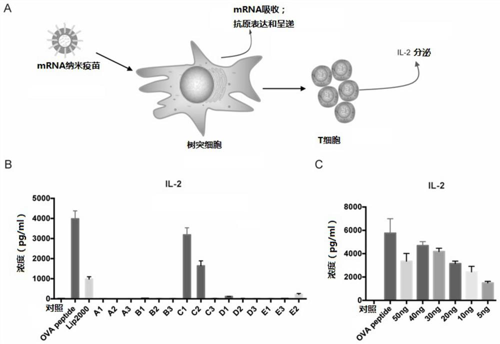 A kind of mRNA vaccine delivery carrier and preparation method thereof