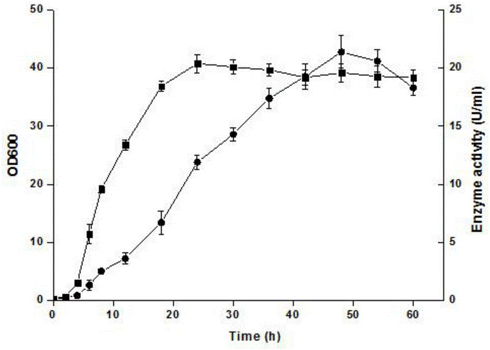 Recombinant Bacillus subtilis for producing chondroitinase and application thereof