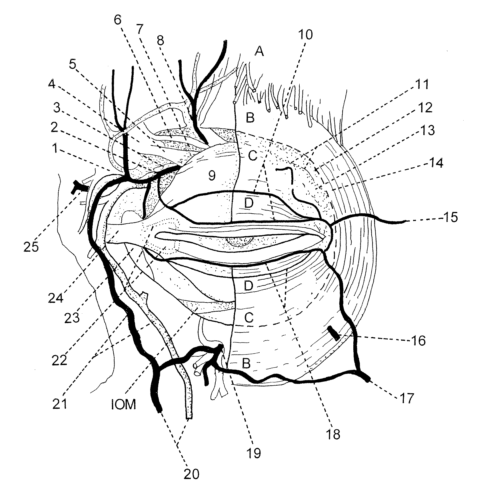 Methods and compositions for sustained delivery of drugs