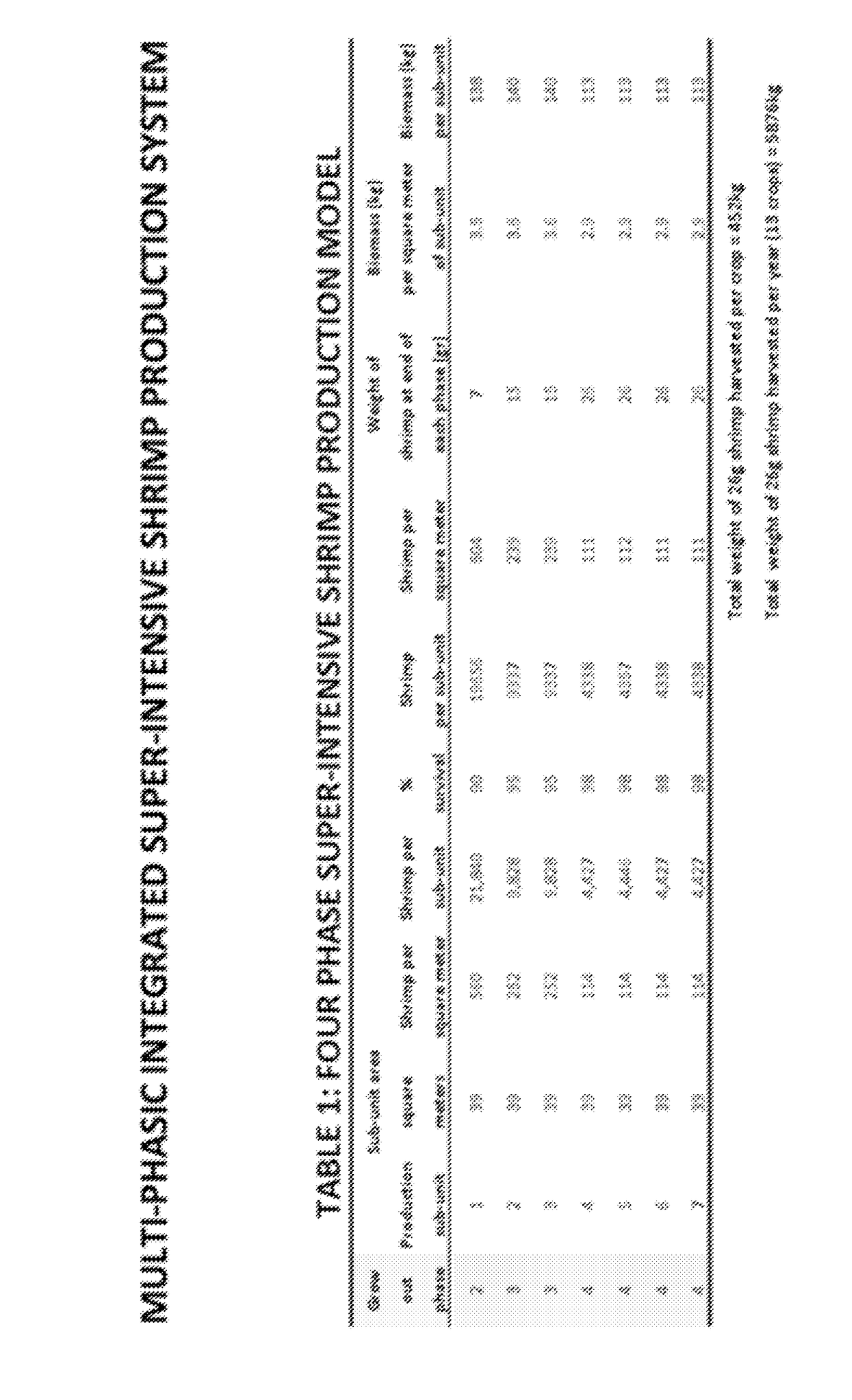 Multi-phasic integrated super-intensive shrimp production system