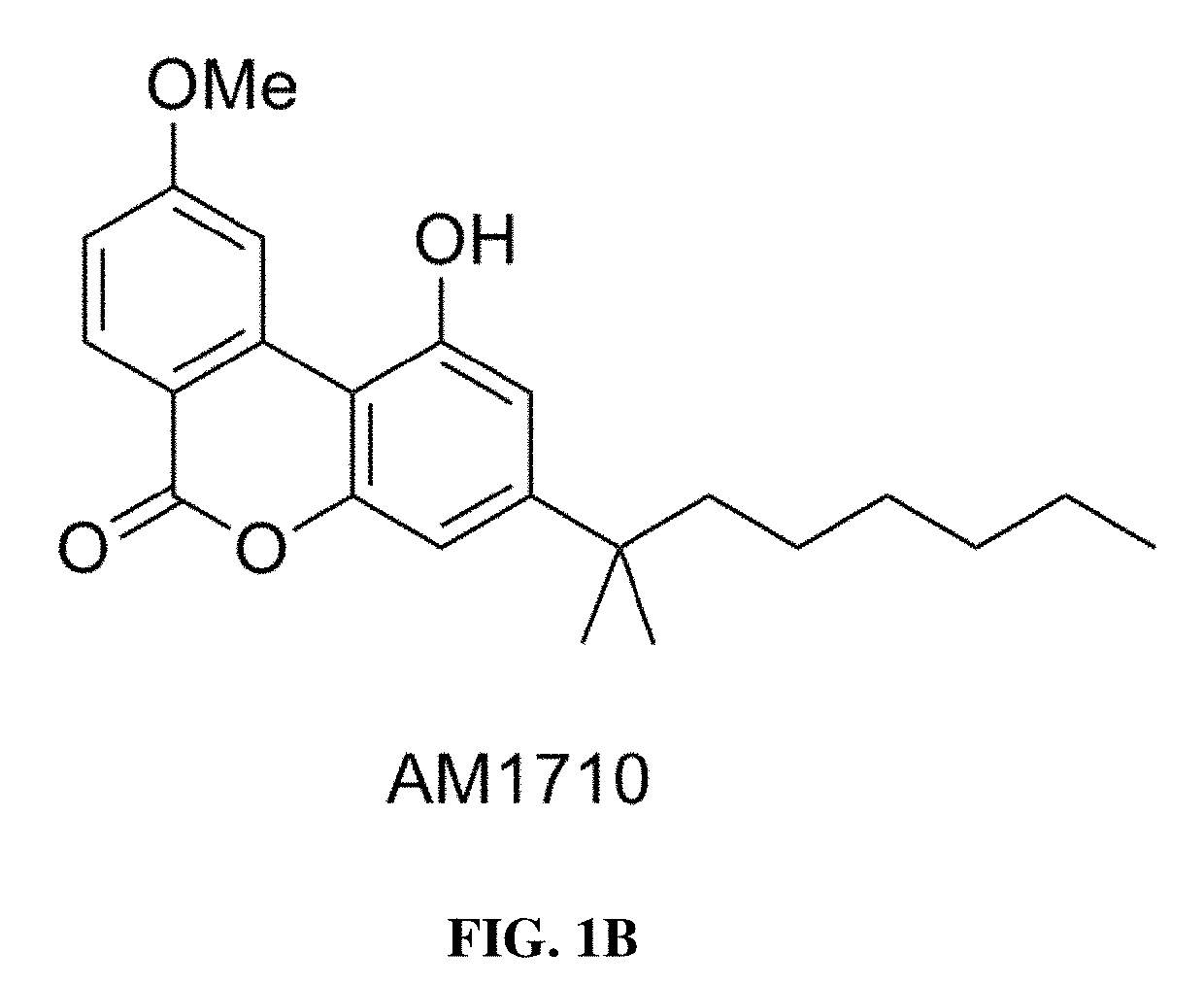 Methods of using cannabinoid cb2 receptor agonist compositions to suppress and prevent opioid tolerance and withdrawal in a subject