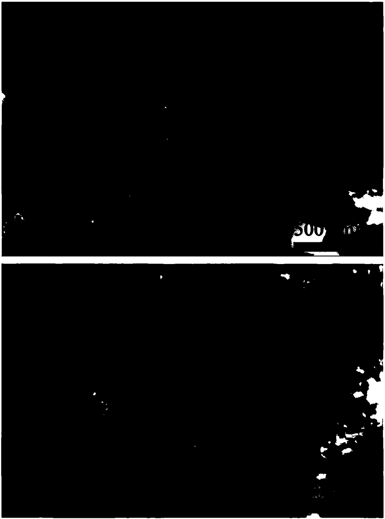 Porous ferroferric oxide/ carbon nanometer rod-shaped electromagnetic wave absorbing material and preparing method and application thereof