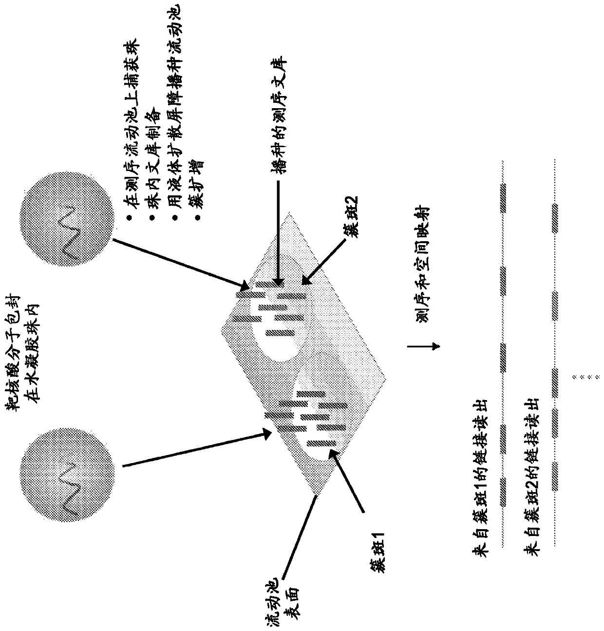 Spatial indexing of genetic material and library preparation using hydrogel beads and flow cells