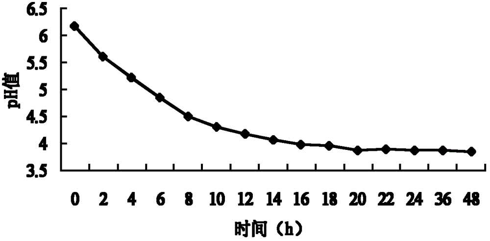 Lactic acid bacteria used for silage corn and use method thereof