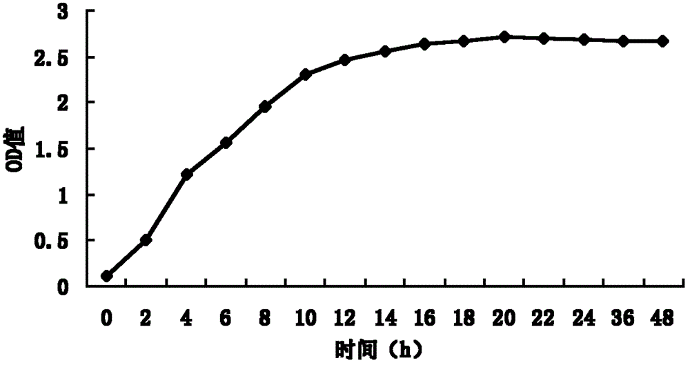 Lactic acid bacteria used for silage corn and use method thereof