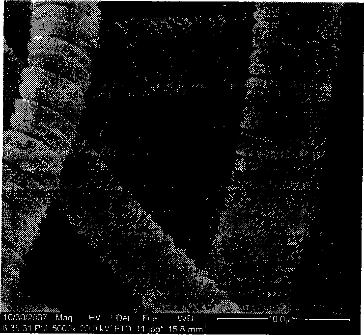 Method for preparing helical carbon fiber