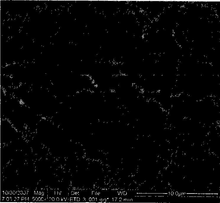 Method for preparing helical carbon fiber