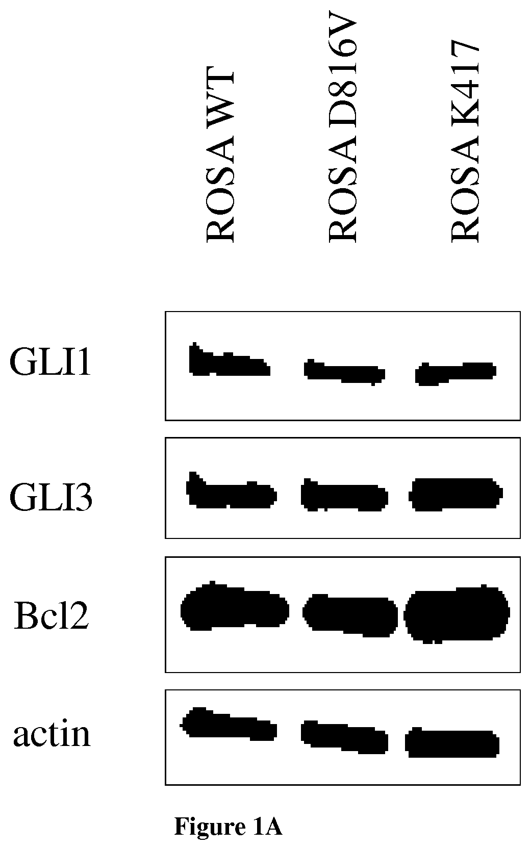 Methods and pharmaceutical compositions for the treatment of mast cell diseases