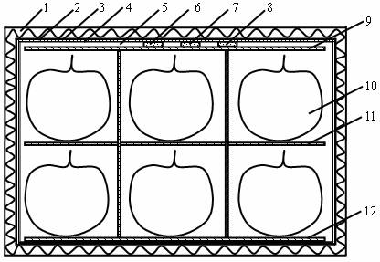 Fruit preserving carton and fruit preserving and storing method utilizing same