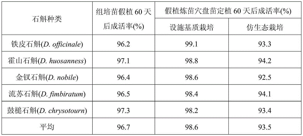 A kind of fake planting seedling hardening method of dendrobium tissue culture seedling