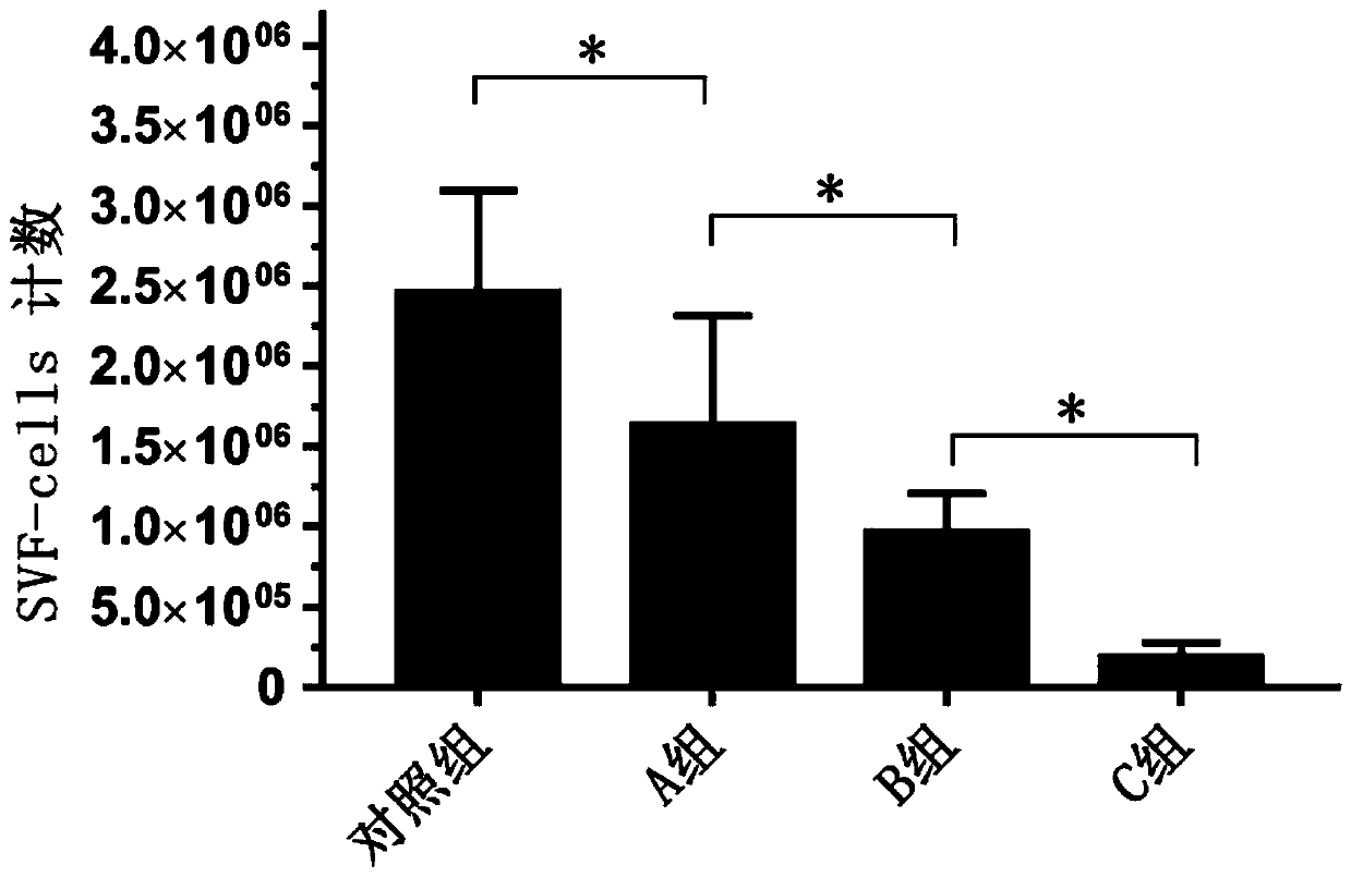 Fat graft rich in high activity fatty granule cells and adipose-derived stem cells and preparation method and application of fat graft