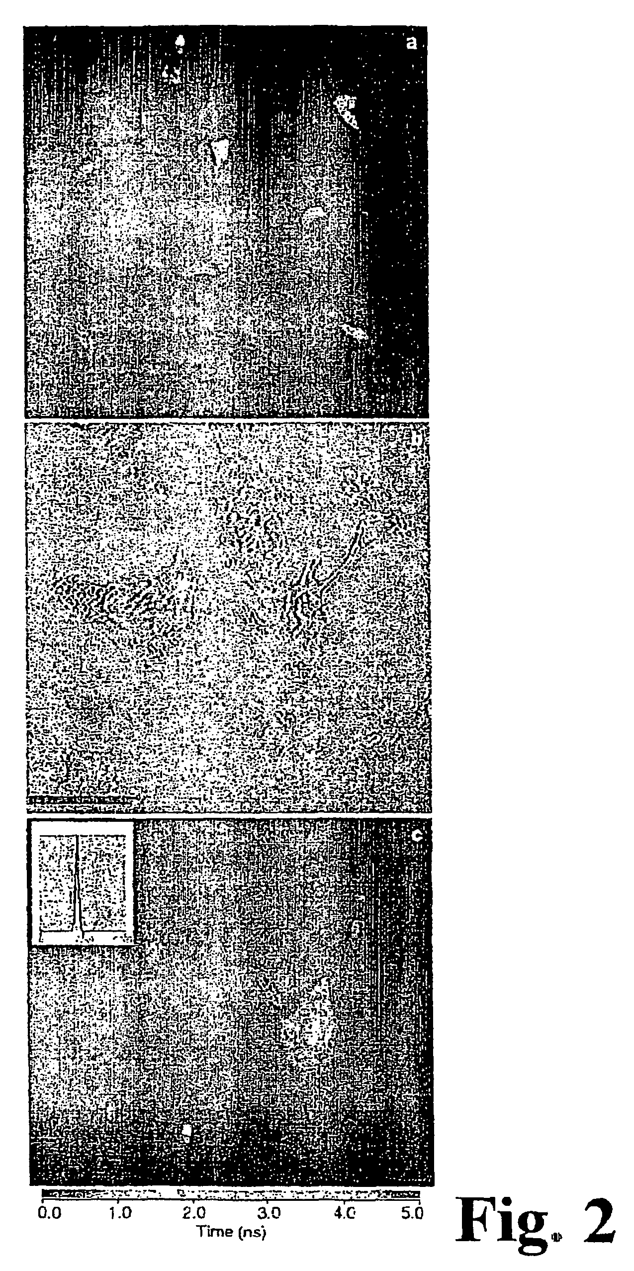 Method for transferring molecules in vital cells by means of laser beams and arrangement for carrying out said method