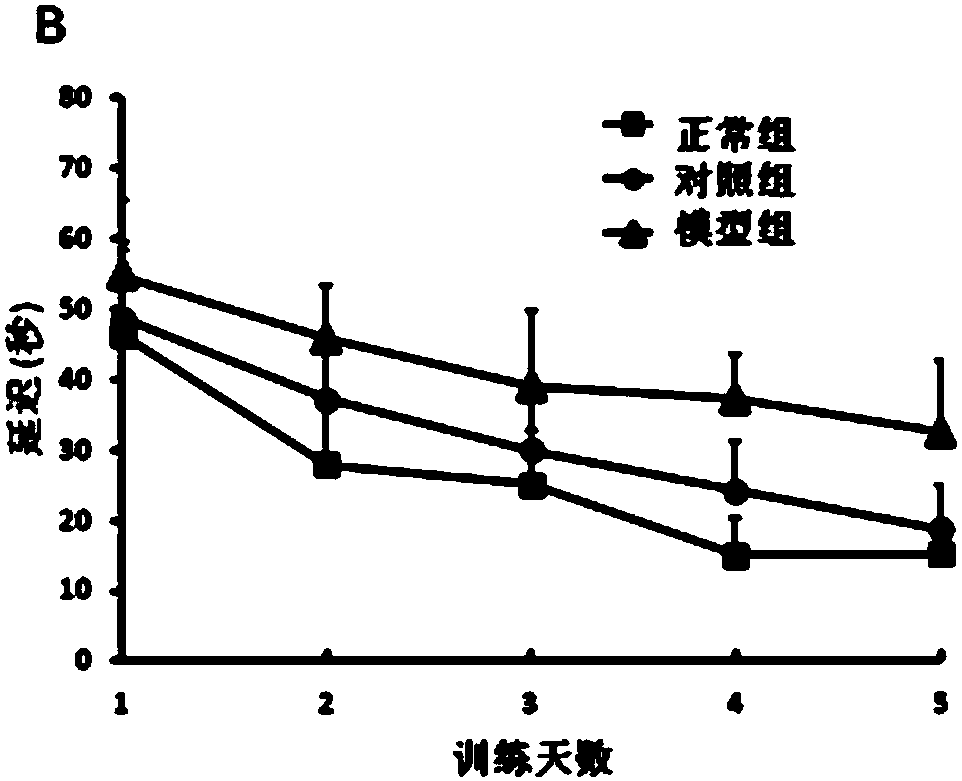 AD model rat hippocampus gene expression difference chart constructed by combining A beta and D-gal as well as determination method and application of AD model rat hippocampus gene expression difference chart