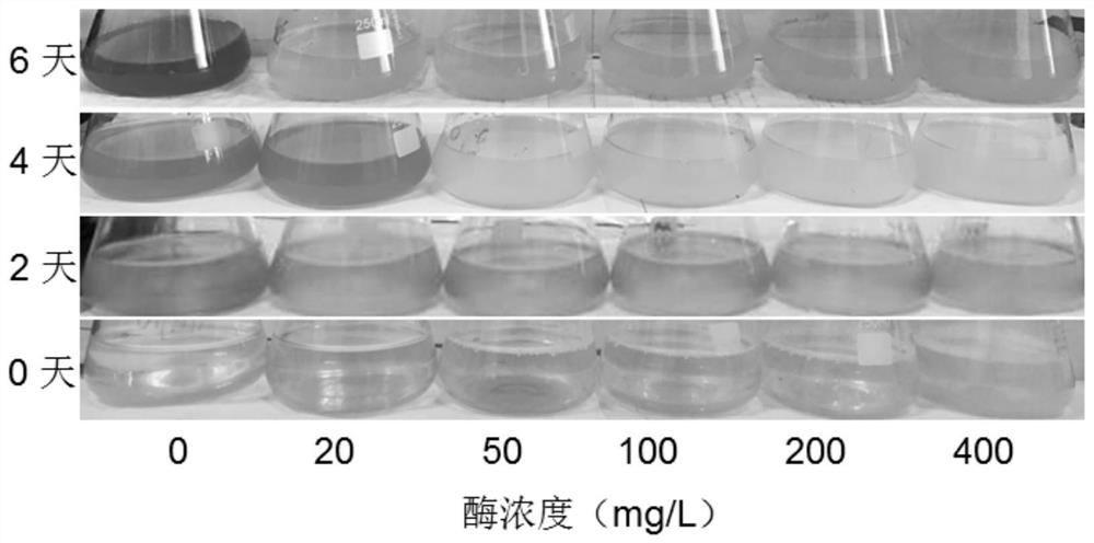 Application of algal toxin-degrading enzymes in inhibiting cyanobacteria and degrading algal toxins