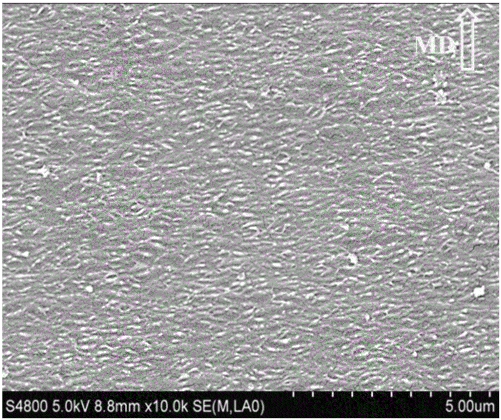 Oriented beta-polypropylene base membrane, polypropylene microporous membrane and method for manufacturing same