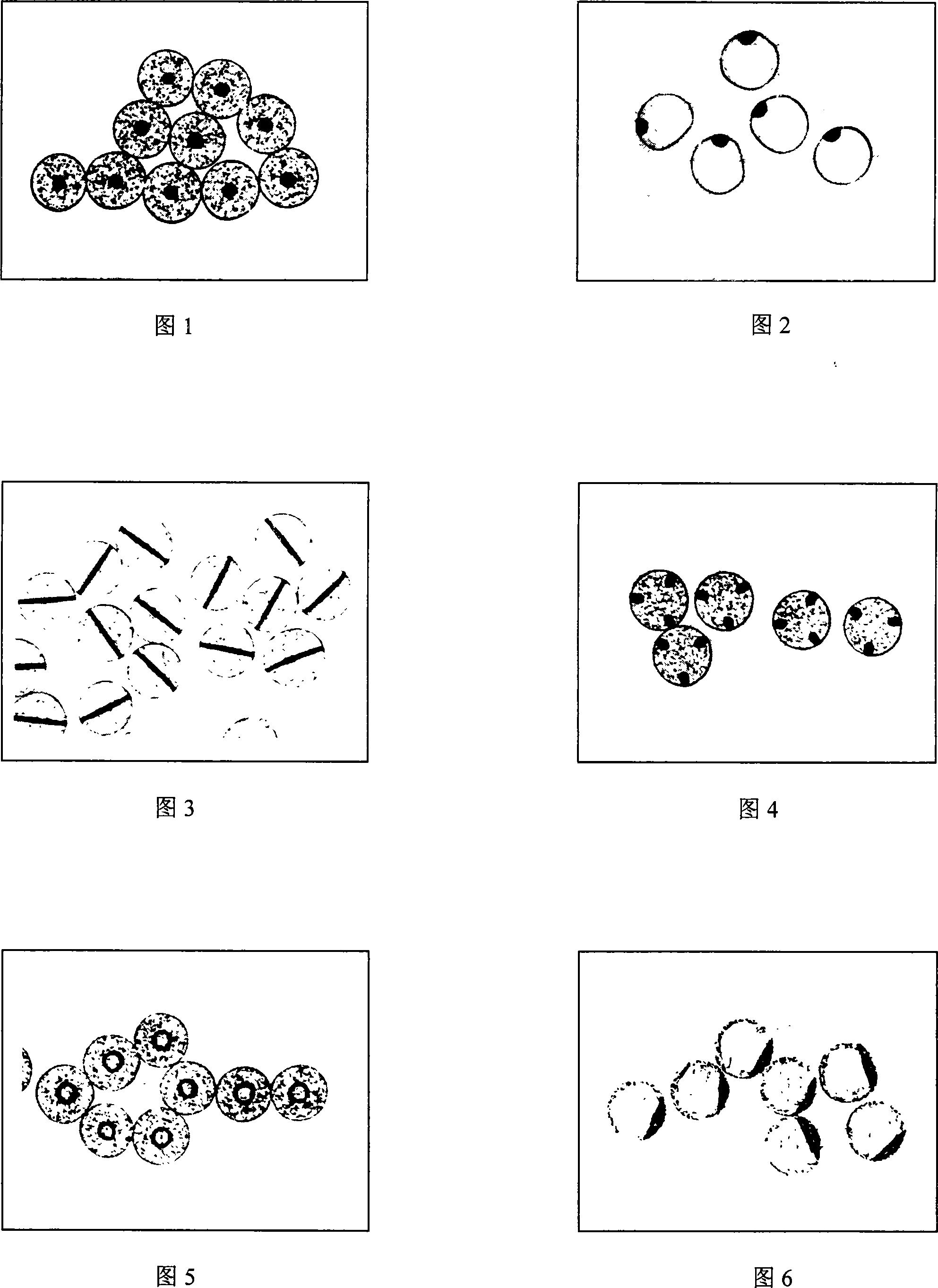 Durable high performance composite conductive fibre and manufacturing method