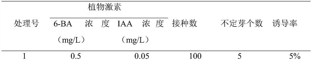 A method for inducing regenerated plants from the first internode of water spinach stalks