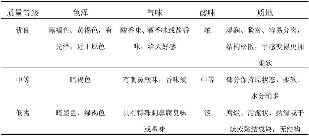 Strain composition suitable for fermenting needle mushroom residues and brewer's grains, and application thereof