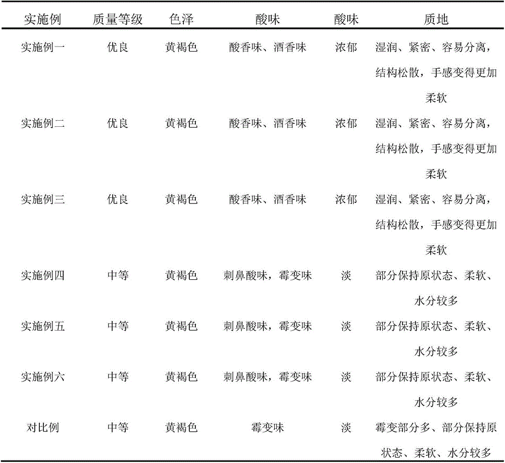 Strain composition suitable for fermenting needle mushroom residues and brewer's grains, and application thereof