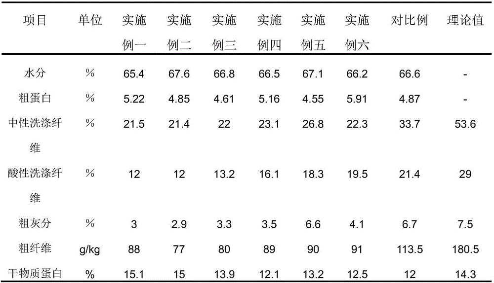 Strain composition suitable for fermenting needle mushroom residues and brewer's grains, and application thereof