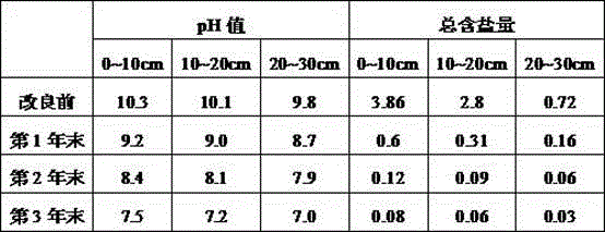 System and method for comprehensive improvement of saline-alkali land