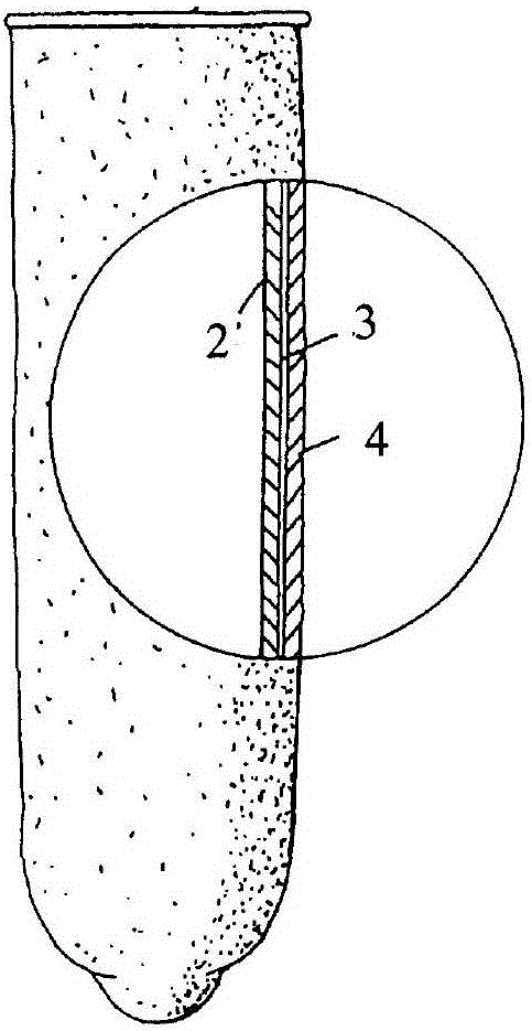 A kind of all-combined or composite water-based polyurethane condom