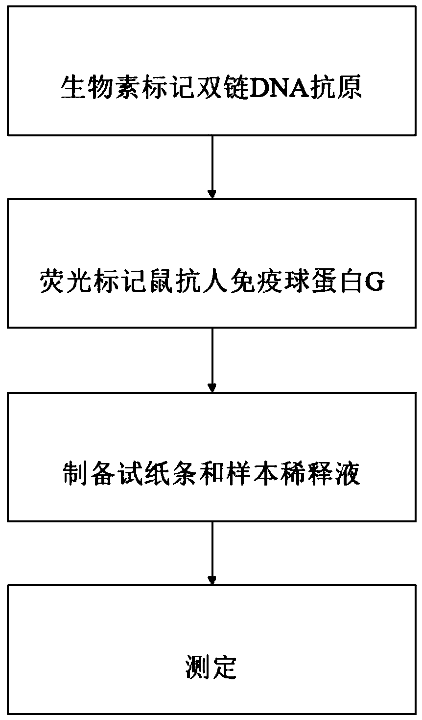 Rapid anti-double-stranded DNA (deoxyribonucleic acid) antibody detection method