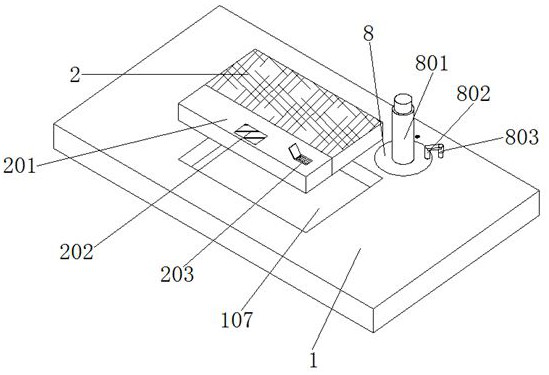 Chain detection device and tension adjusting device for chain detection device