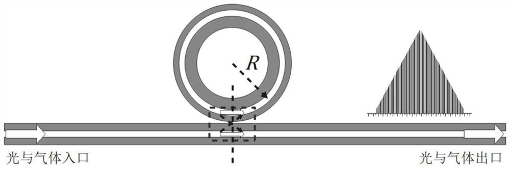 Microcavity optical frequency comb gas concentration sensing measurement method