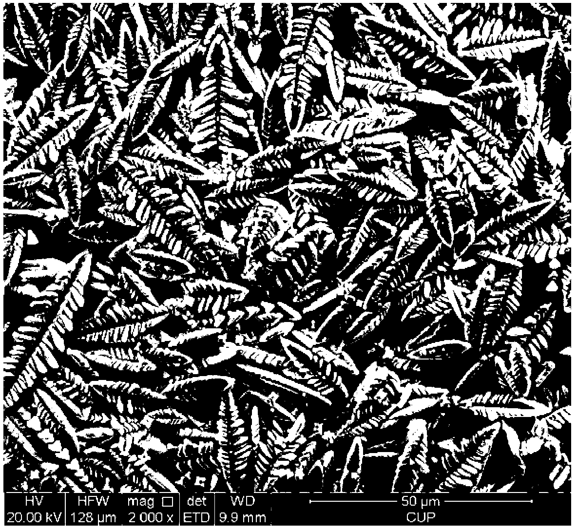 Preparation method for leaf-shaped silver chloride particle with micron structure