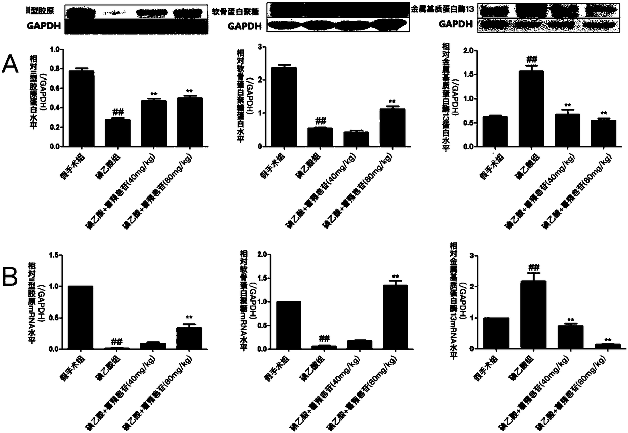 Application of dioscin in preparation of drugs for inhibiting osteoarthritis