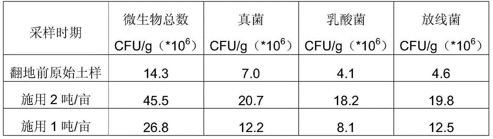 Ecological restoration agent for fallow ginseng soil and preparation method of ecological restoration agent